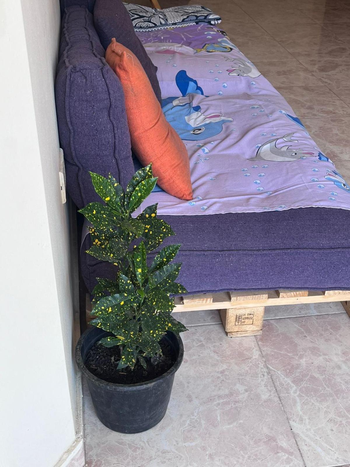 Bed In Raheem Guest House More Than Accommodation ไคโร ภายนอก รูปภาพ